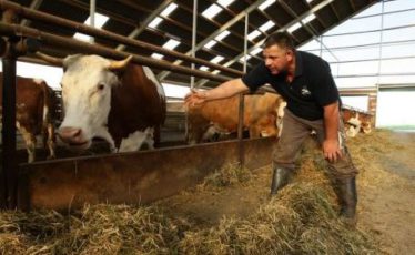 Suprafeţe agricole neimpozitate