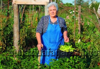 Campania „Producător din Ţara Făgăraşului” - Ioan şi Viorica Macavei