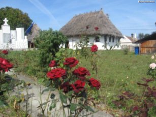 O tânără din Bucureşti a „descoperit” Ţara Făgăraşului