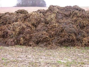 Gunoi de grajd, depozitat ecologic
