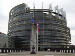 Care este miza alegerilor europarlamentare din 2014?