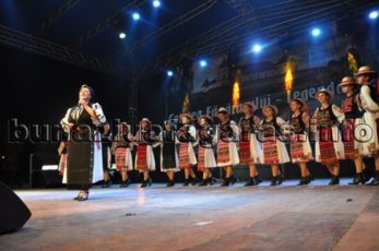 Foto: Zilele Cetăţii Făgăraş 2014 (ziua a 2-a)