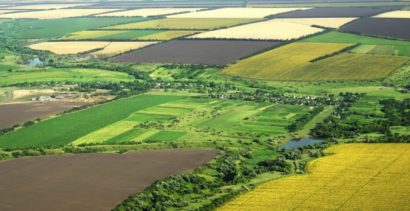 Primăria Viștea ajută 300 de fermieri pentru dosarele APIA