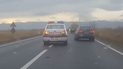 Căprioară ucisă de mașină, pe DN1