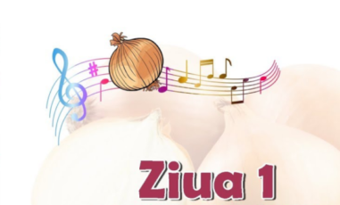 „Făgăraș, foaie de ceapă”, transmis LIVE pe internet | Ziua 1