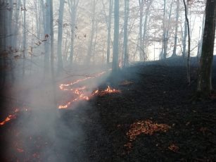 Incendiu la Vlădeni