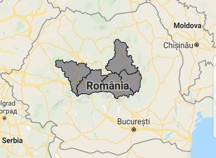 Cod galben de ceață
