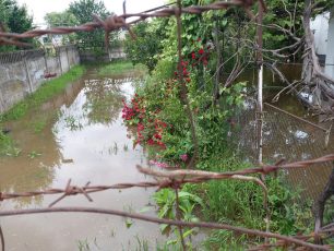 VIDEO | Inundații în Făgăraș