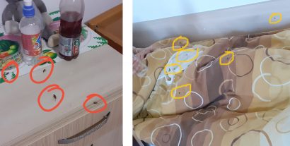 FOTO | Gândaci și mâncare stricată, la Centrul pentru vârstnici din Făgăraș. DSP a amendat instituția