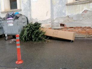 Apel pentru făgărășeni: Nu aruncați brazii de Crăciun la voia întâmplării!