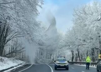 FOTO | Trafic oprit pe DN 1 pentru tăierea arborilor periculoși