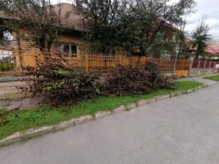 Din 15 martie, luna curățeniei de primăvară în Făgăraș
