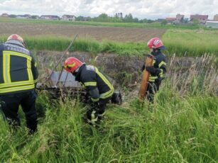FOTO | Pompierii, chemați să scoată un cal dintr-un canal plin cu mâl