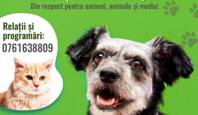 Sterilizări gratuite pentru animalele de companie