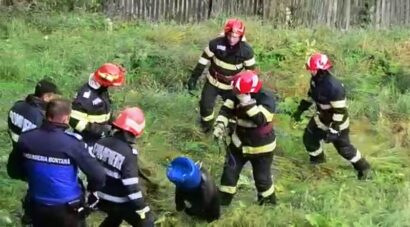 VIDEO | Urs salvat de pompieri, după ce s-a blocat într-un butoi