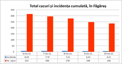 Rata de infectare, în scădere în Făgăraș. 0 cazuri în Lisa
