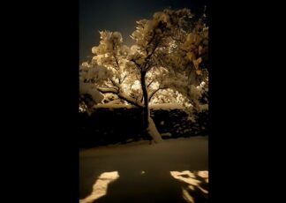 Urmează cea mai scurtă zi și cea mai lungă noapte