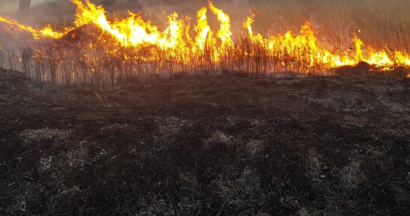 O femeie din Șona și-a pierdut viața în urma unui incendiu de vegetație