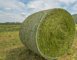 Copil de 7 ani, decedat după ce a fost lovit de un balot de fân