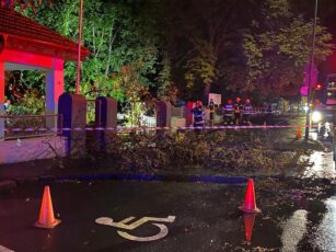 Furtună puternică la Brașov: copac căzut pe poarta unui spital