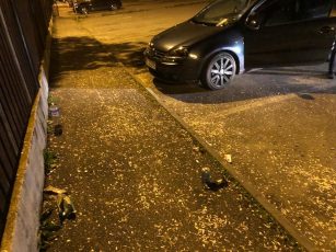 „Sămânțari” amendați de Poliția Locală