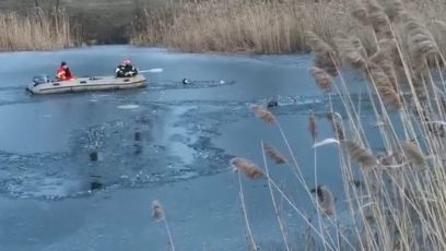 VIDEO | Câini salvați de pompieri din lacul înghețat, în parcul „Regina Maria” din Făgăraș