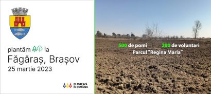 Primăria, voluntari și o asociație plantează 500 de arbori în Făgăraș, de Buna Vestire