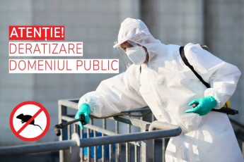 A început deratizarea pe domeniul public. Asociațiile și operatorii economici ar trebui să facă la fel