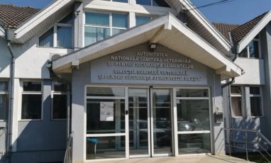 Directoarea DSVSA Brașov a fost demisă, după scandalul cailor sacrificați și exportați în Italia