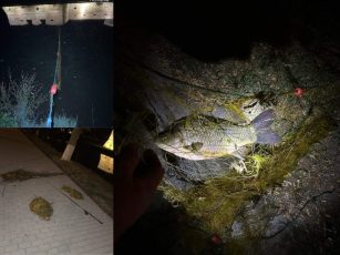 Bărbați prinși la pescuit cu plasele pe lacul Cetății Făgăraș