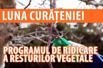 Începe luna curățeniei, la Făgăraș. Programul de ridicare a deșeurilor vegetale