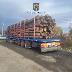 Camion care transporta lemne cu acte false, depistat în Șercaia