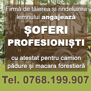 Sezar Forest - soferi profesionisti