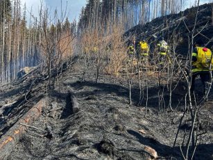 Focul continuă să ardă în Munții Făgăraș. Incendiul, izbucnit luni, nu a fost încă stins
