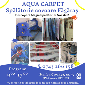Spalatoria Aqua Carpet