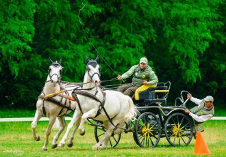 Spectacol ecvestru la Herghelia Sâmbăta de Jos, de Ziua Copilului
