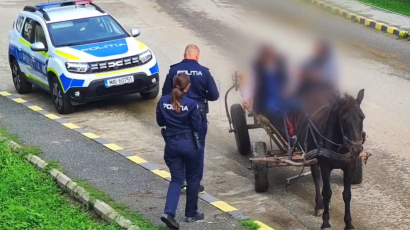 Amenzi și dosare penale în județ, în urma acțiunilor Poliției Animalelor