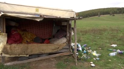 Oameni ai străzii, racolați din Gara Brașov și vânduți ca sclavi la o stână 