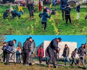 1.750 de arbori și arbuști plantați în doar 3 zile, la Făgăraș