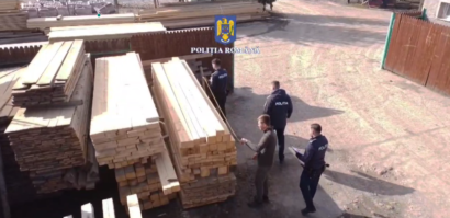 118 amenzi și peste 400 de metri cubi de material lemnos confiscați de polițiști, în doar 2 zile