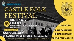 Castle Folk Festival