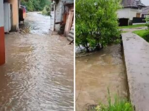 Arbori căzuți și gospodării afectate de viituri în comuna Recea