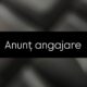 Anunt angajare