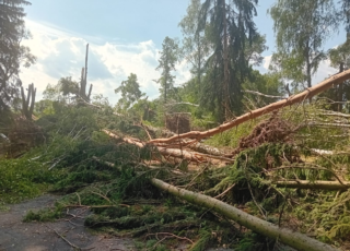 Furtuna din iulie a avut aspect de tornadă. Pagube de 250 de milioane de lei în județ