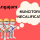 Anunt Angajare