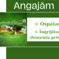 Imaginea miniatură a imaginii anunțului
