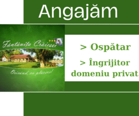 Anunt Angajare