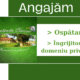 Anunt Angajare