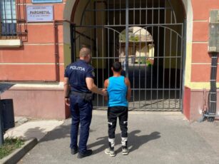 Bărbat arestat preventiv pentru uciderea unui câine, în Apața