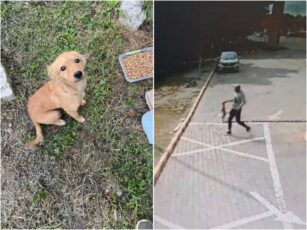 Bărbatul care a abandonat cățelul în benzinărie este din Beclean. Polițiștii l-au identificat